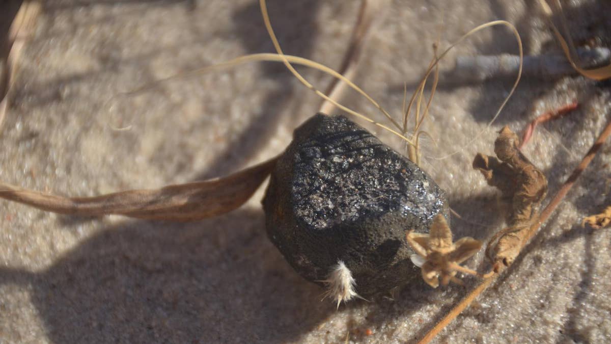 AsteroidBotswanaFragment