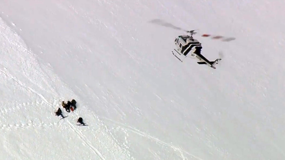 Avalanche Fox 11