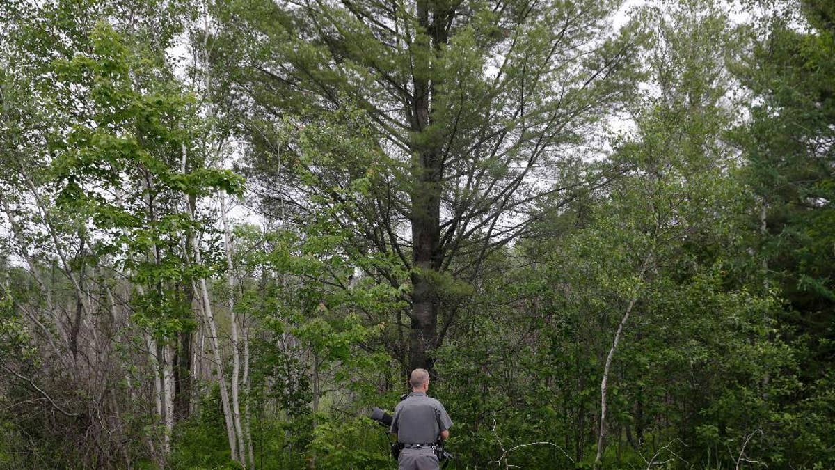A law enforcement officer stands on a road and looks into the forest near Dannemora, N.Y., Friday, June 12, 2015.  Squads of law enforcement officers are heading out for a seventh day, searching for David Sweat and Richard Matt, two murderers who escaped from Clinton Correctional Facility, a maximum-security prison in northern New York. (AP Photo/Seth Wenig)