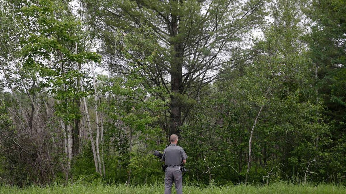 A law enforcement officer stands on a road and looks into the forest near Dannemora, N.Y., Friday, June 12, 2015.  Squads of law enforcement officers are heading out for a seventh day, searching for David Sweat and Richard Matt, two murderers who escaped from Clinton Correctional Facility, a maximum-security prison in northern New York. (AP Photo/Seth Wenig)