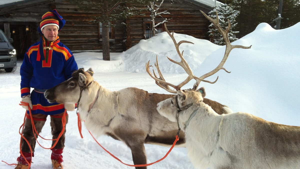 Finland Reindeer Facts