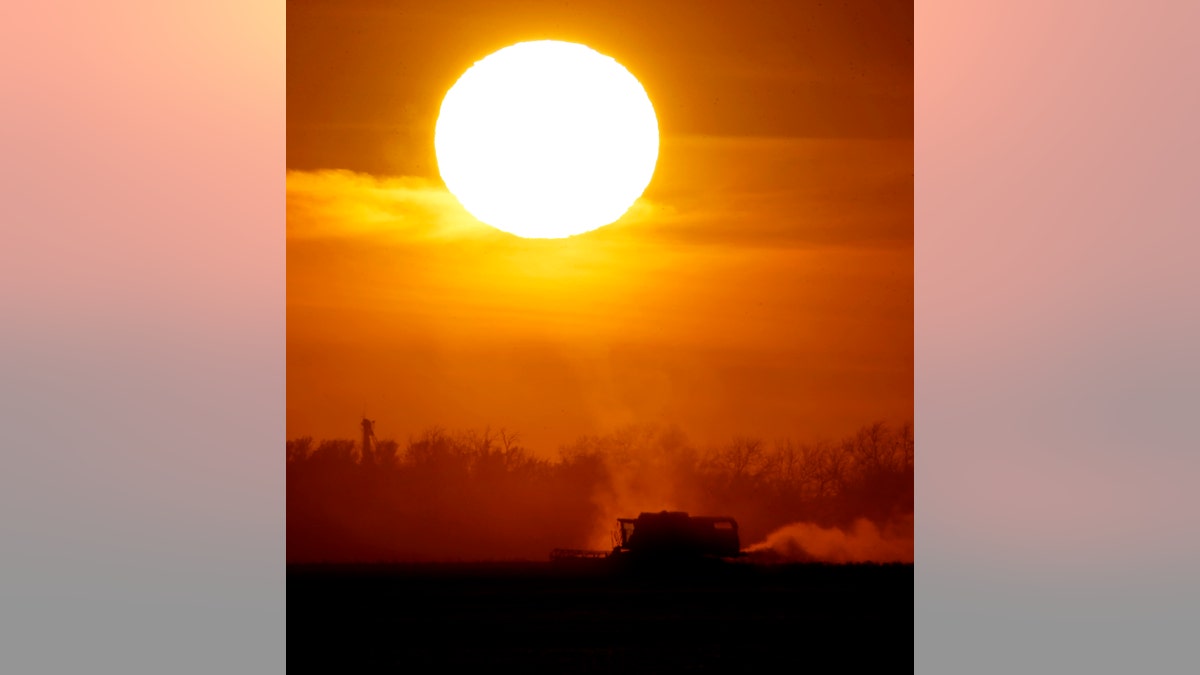 A custom cutter uses a combine to harvest milo in a field near Salina, Kan. as the sun sets Thursday, Nov. 13, 2014. (AP Photo/Charlie Riedel)