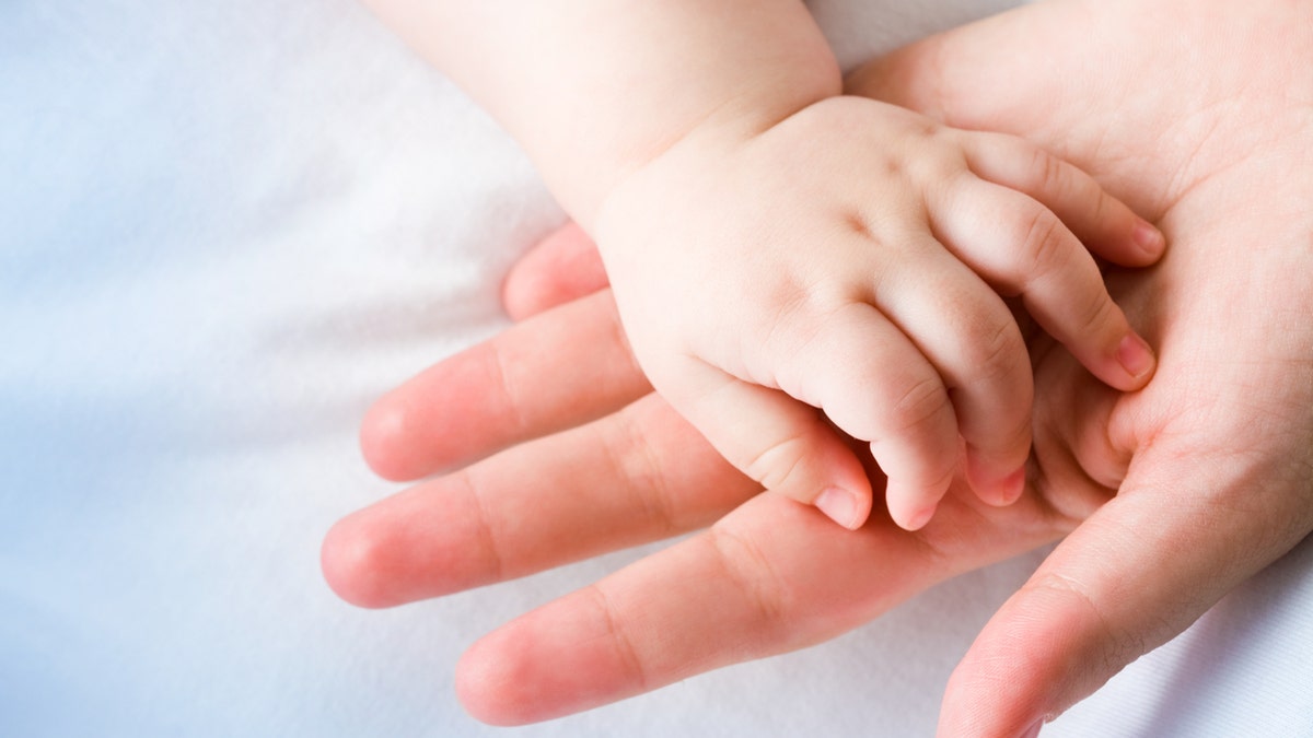 baby hand in moms hand istock medium