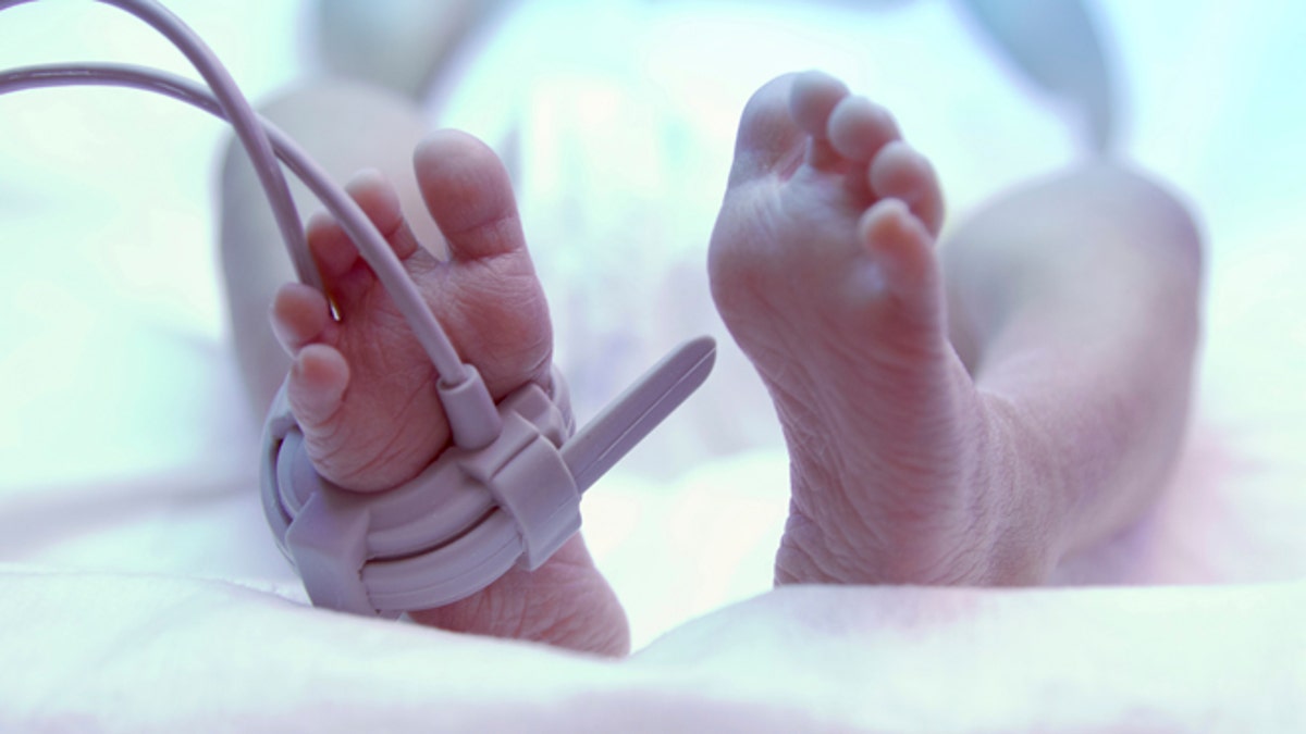 Feet of new born baby under ultraviolet lamp in the incubator