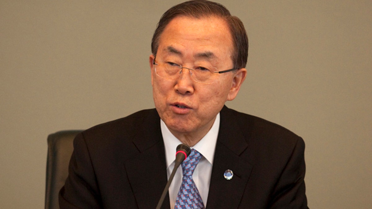 Netherlands Chemical Weapons Ban Ki-moon