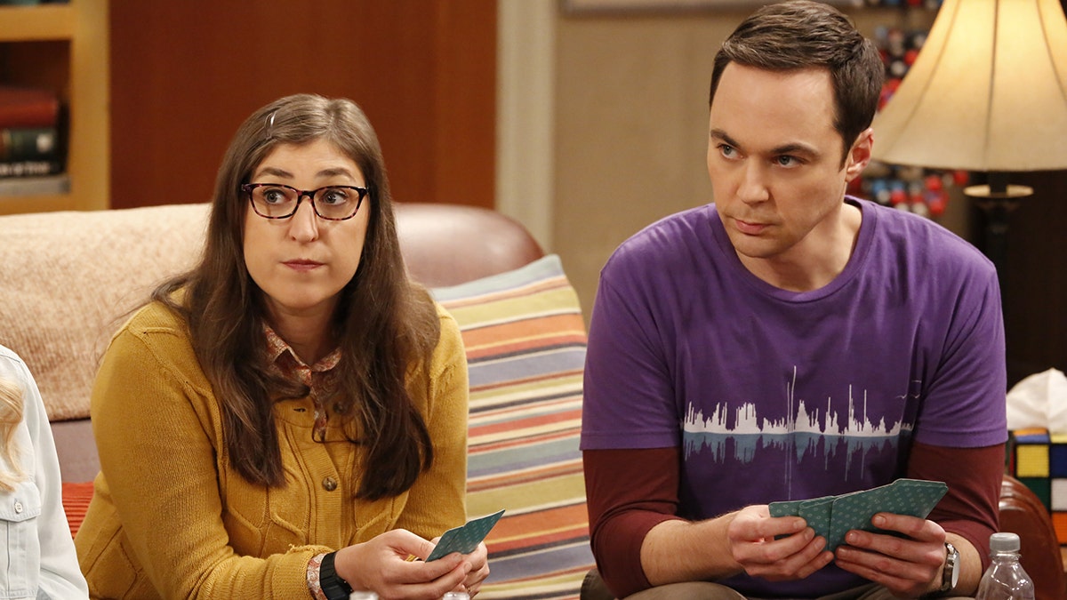 The big bang theory online season 1 episode 3