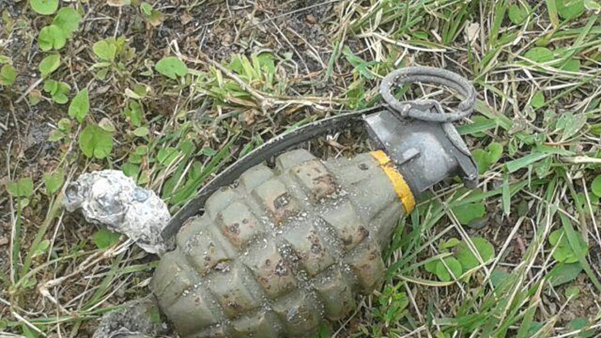 beach grenade 211