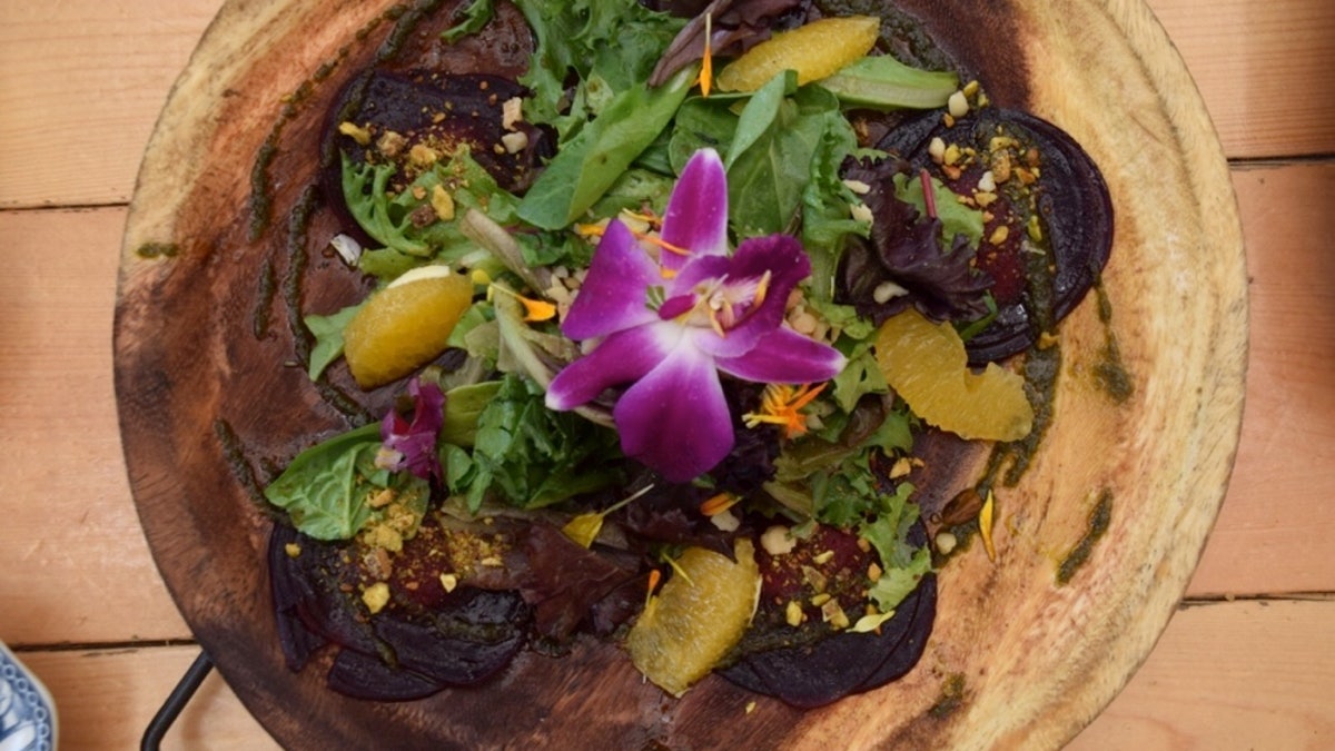 Beet ravioli, alma verde