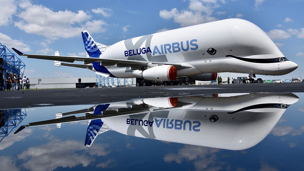 Beluga airbus