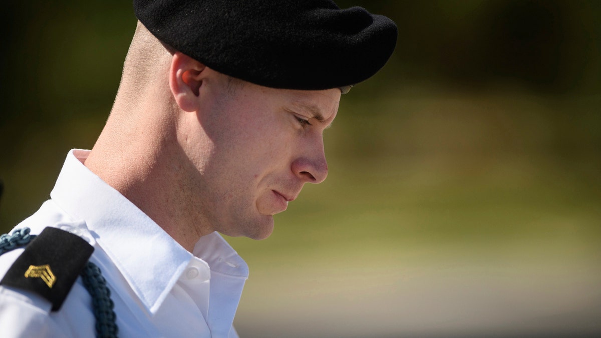 Bergdahl 1