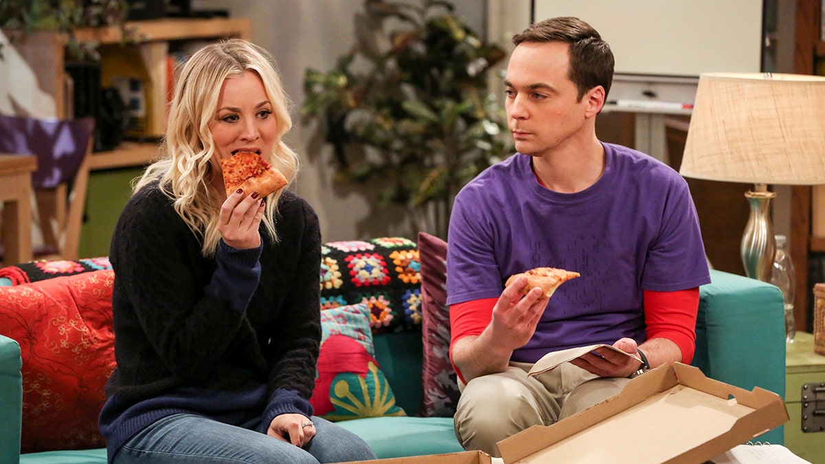 The big bang theory best sale season 1 episode 13