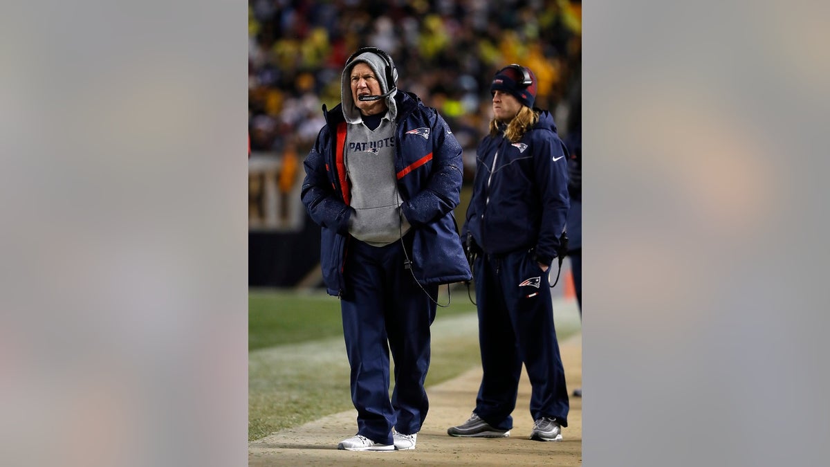 bill belichick