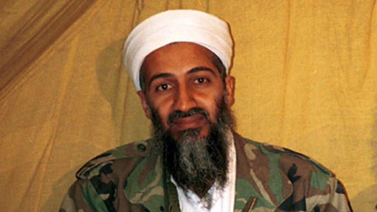 Bin Laden Hunter