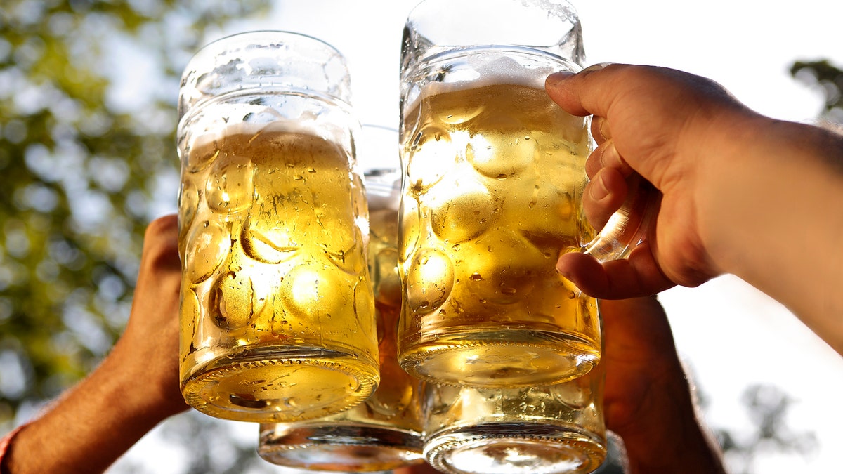 Cheers together in a bavarian beer garden