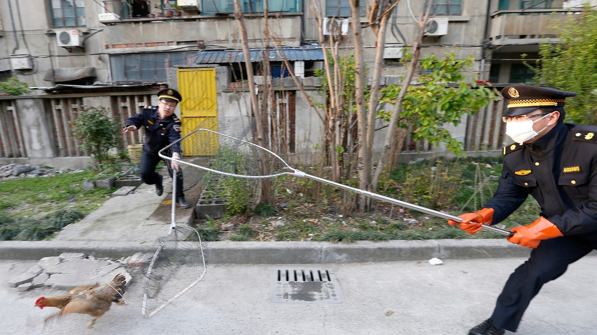 HEALTH-BIRDFLU-CHINA