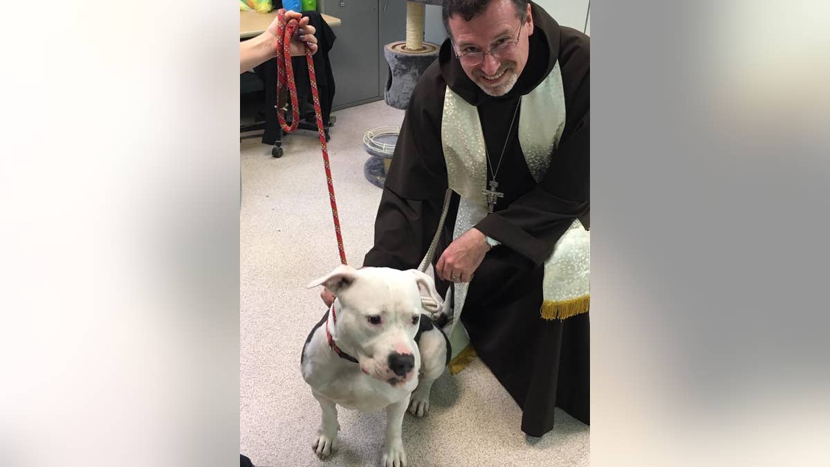 Blessing of the Animals Courtesy Bergen County Animal Shelter