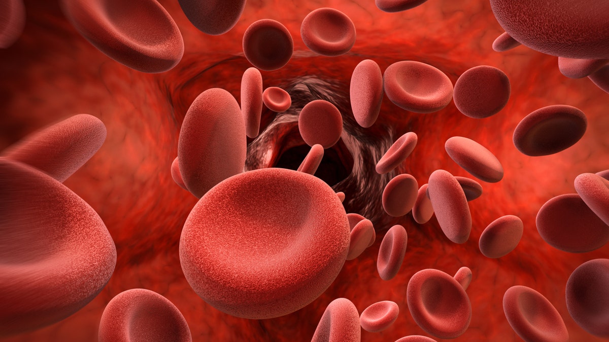 blood_cells_1