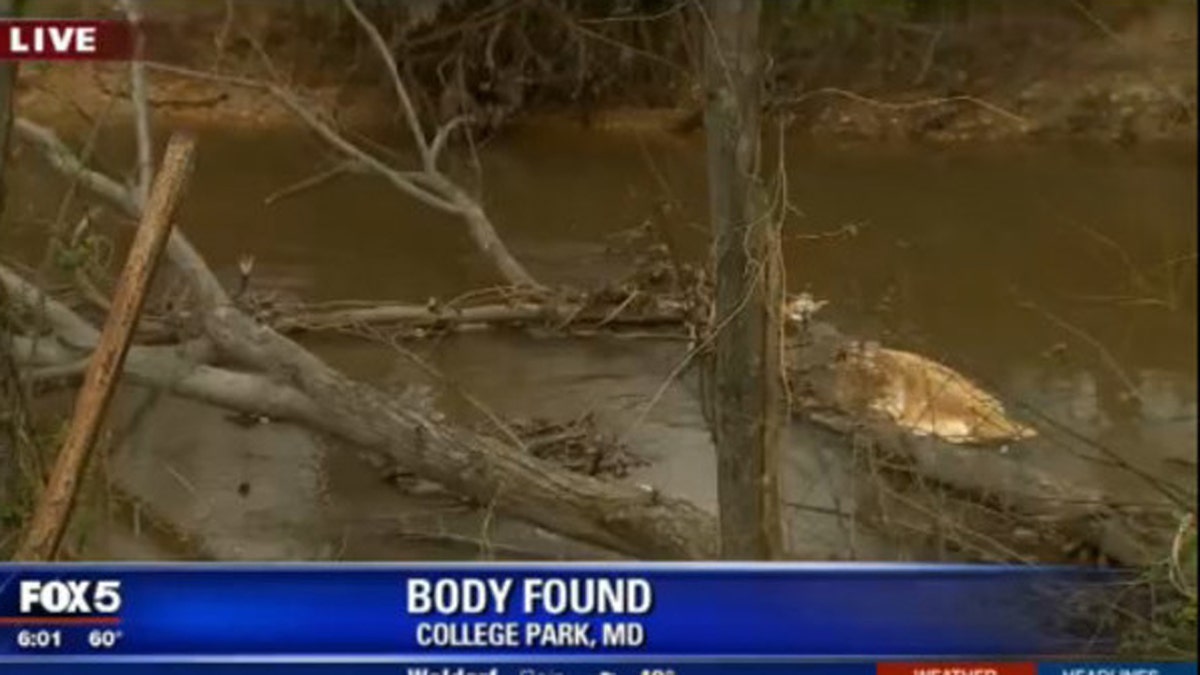 Body found Maryland