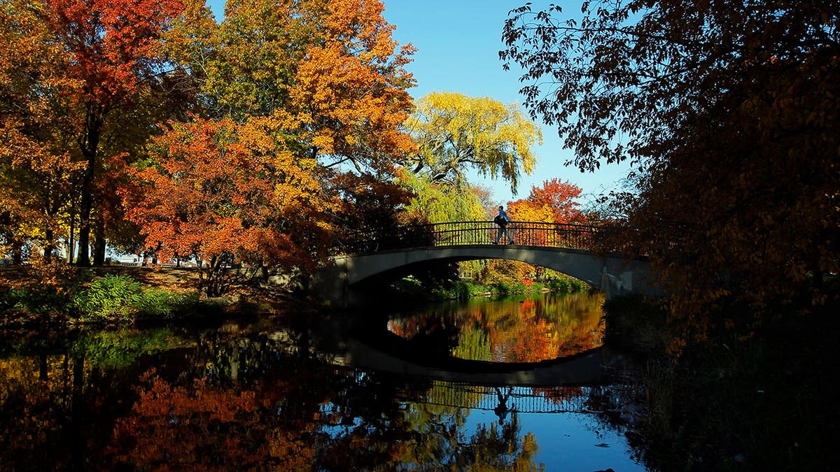 boston esplanade reuters