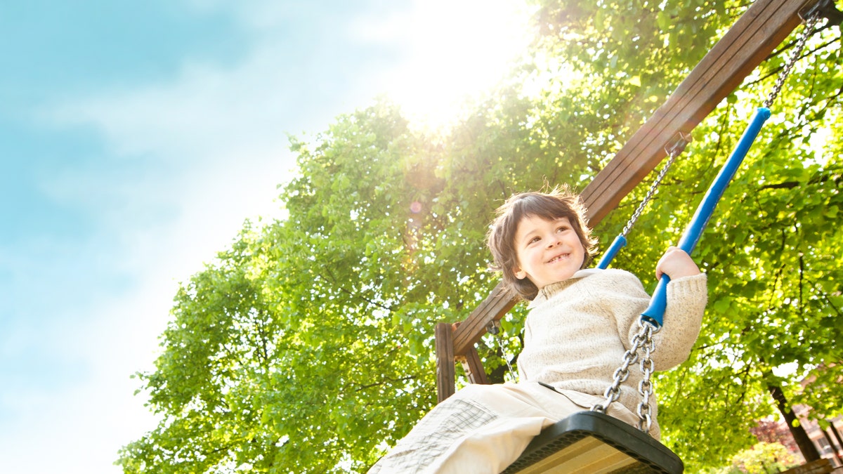 boy on a swing park istock large