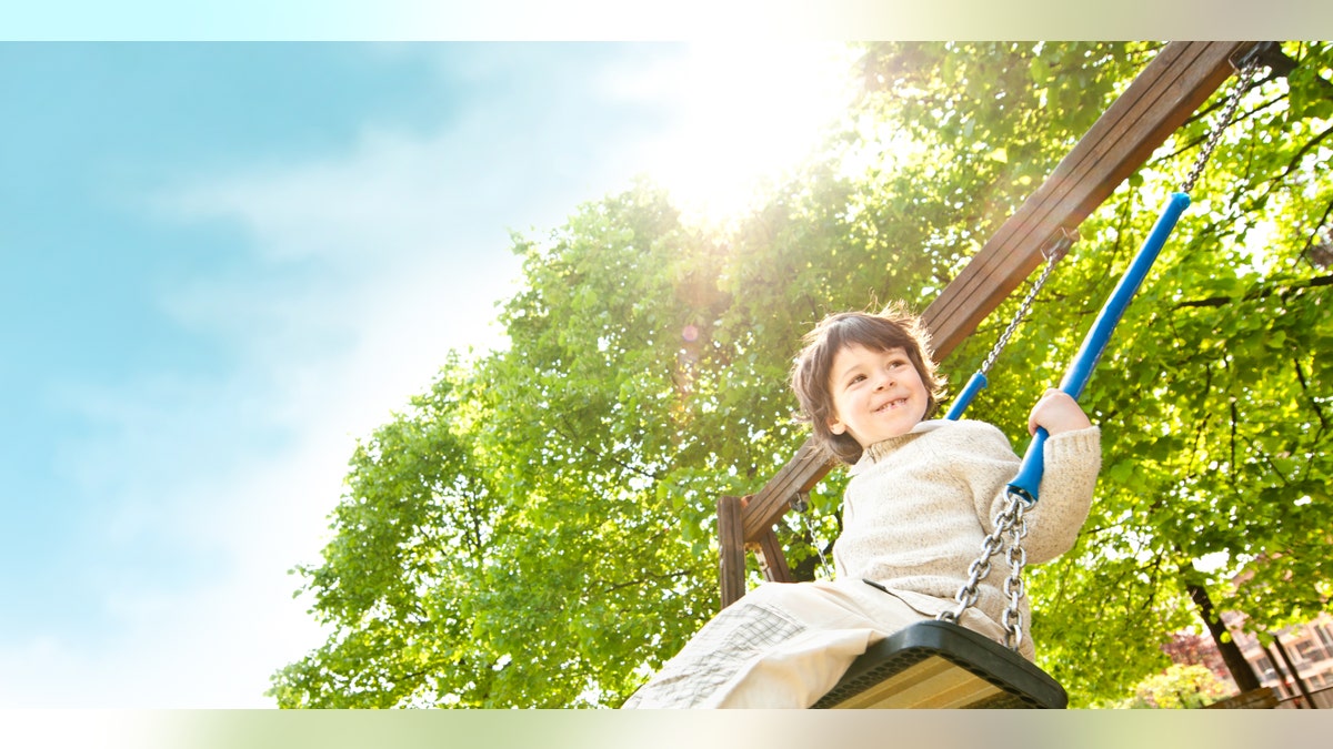 boy on a swing park istock large