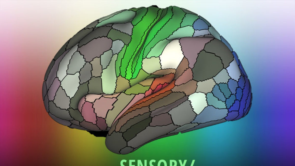 BrainMap