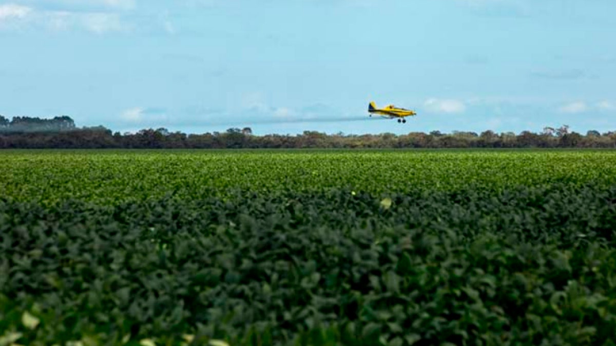 Brazil crop plane