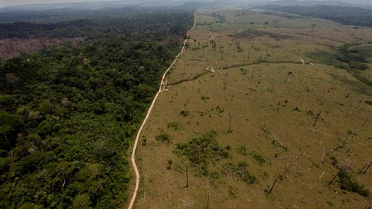Brazil Forest Law Battle