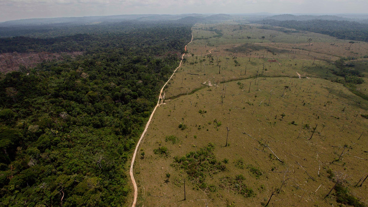 e3b2b0cc-Brazil deforestation