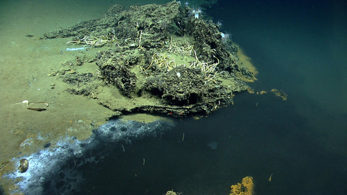 NOAA Ocean Explorer: NOAA Ship Okeanos Explorer: Gulf of Mexico 2014