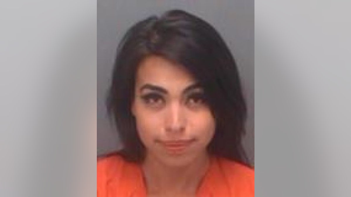 brissa dominguez mug shot