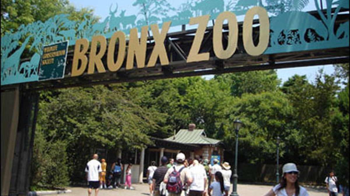 The Bronx Zoo in New York.