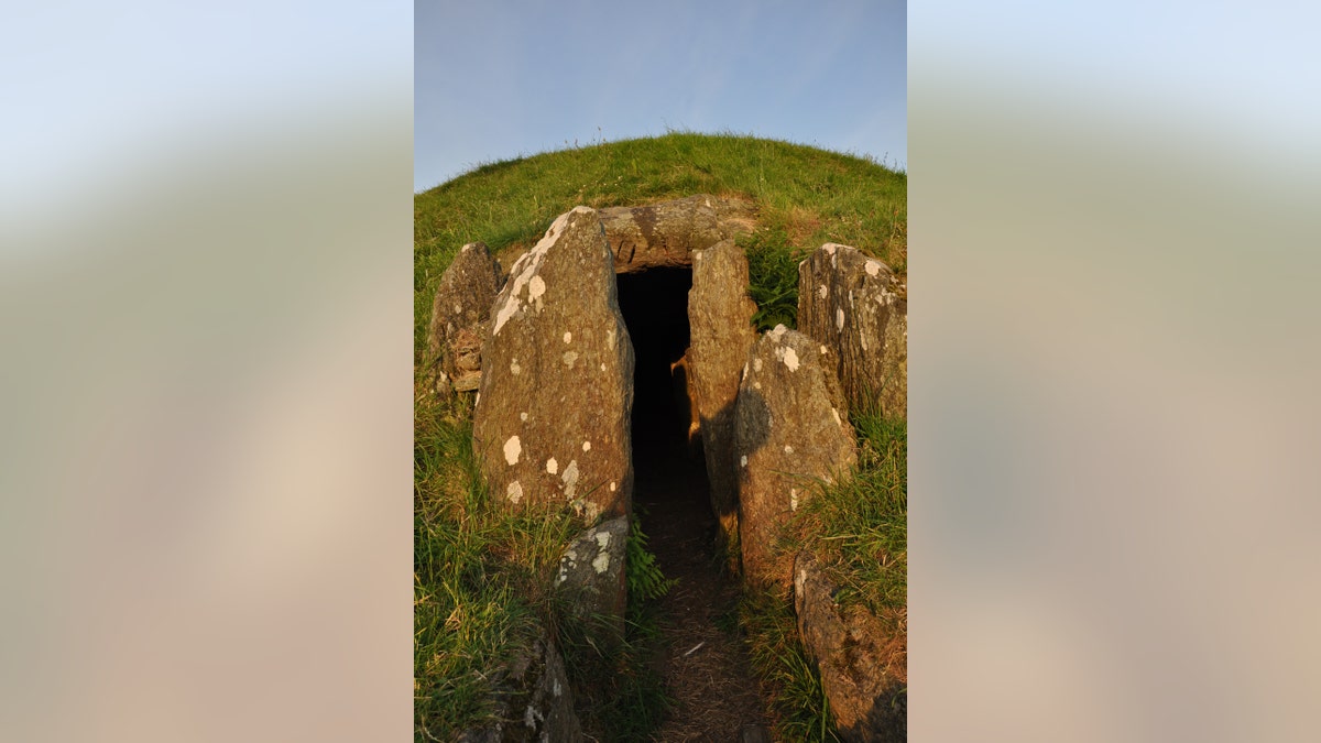 BrynCelliDdu