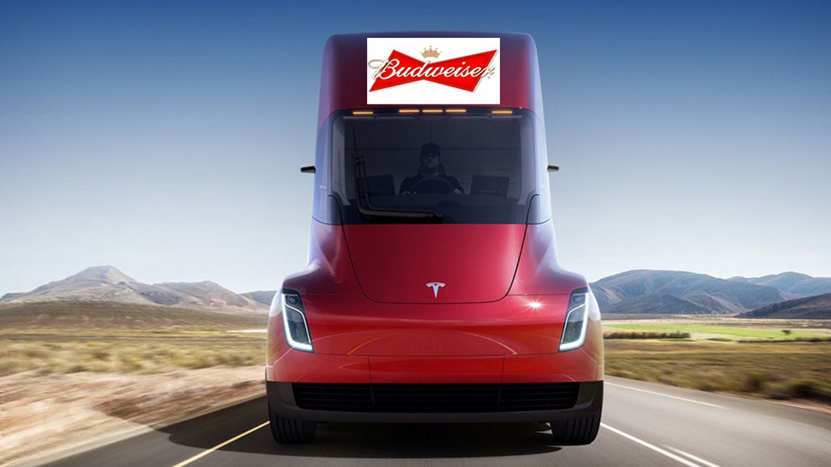 budweiser tesla