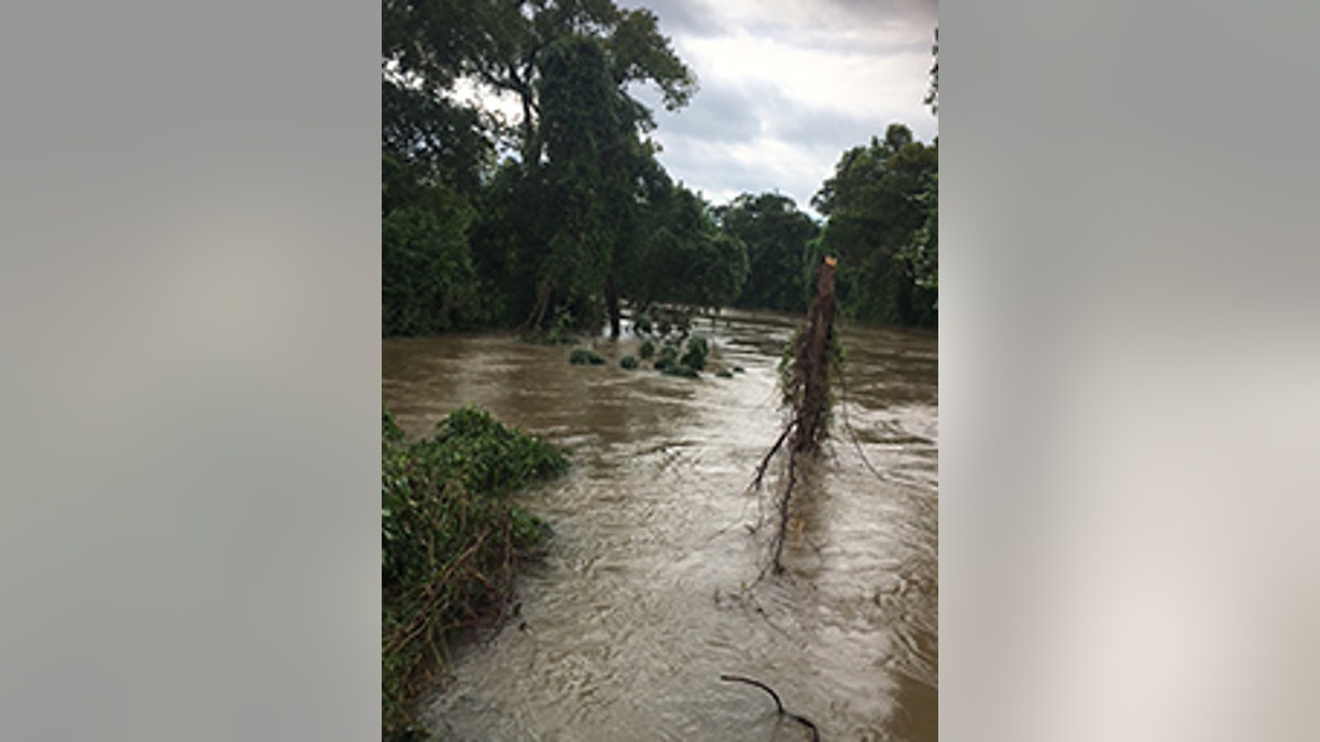 BuffaloBayou256