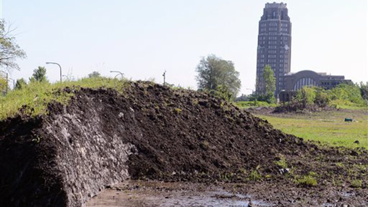 Buffalo Snow Piles