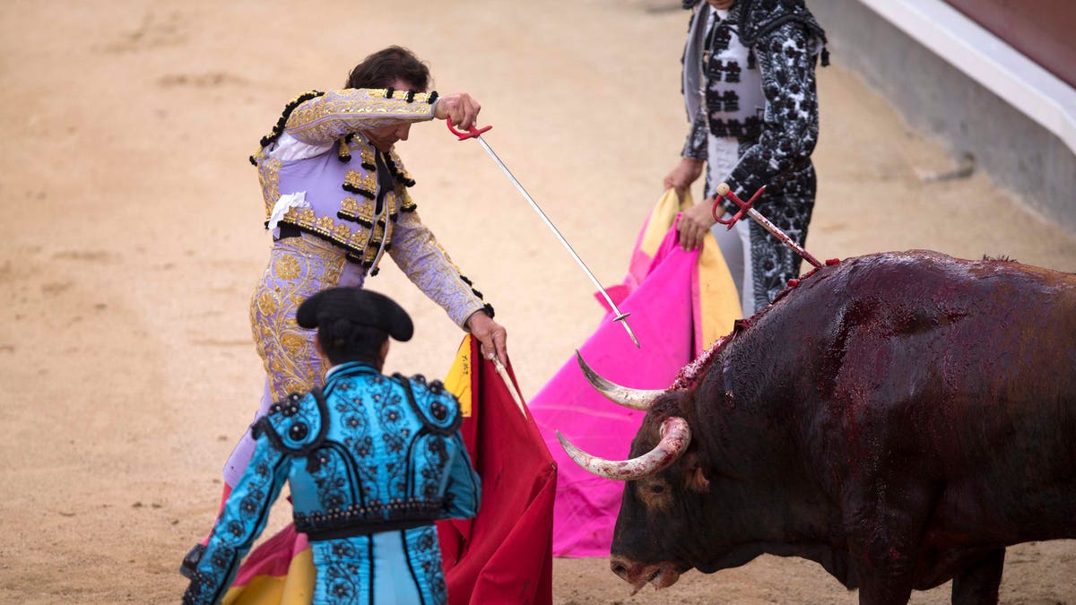 Spain Bullfights vs Schoolbooks