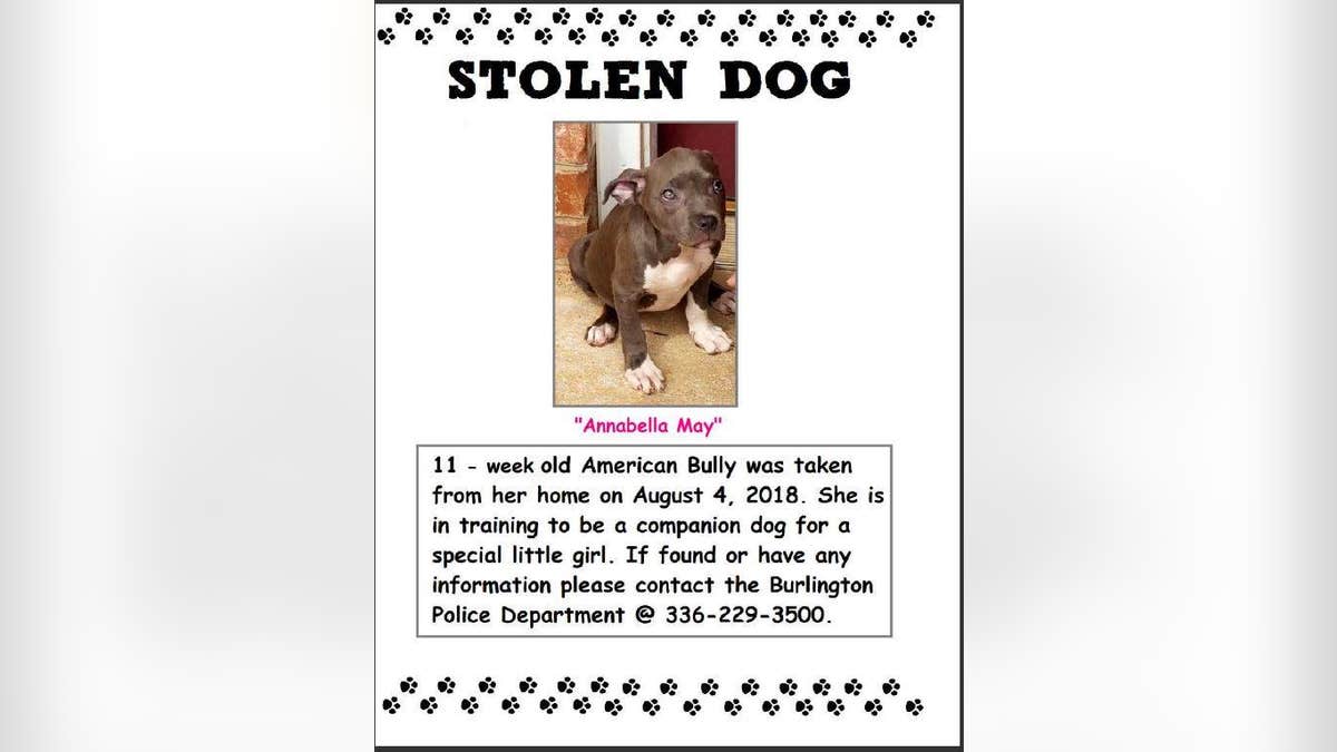 puppy stolen