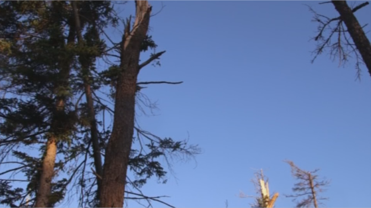 boundary waters 721