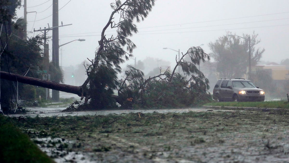 A car drives past a downed tree as Hurricane Matthew moves through Daytona Beach, Fla. Friday, Oct. 7, 2016. Matthew was downgraded to a Category 3 hurricane overnight, and its storm center hung just offshore as it moved up the Florida coastline, sparing communities its full 120 mph winds. (AP Photo/Charlie Riedel)