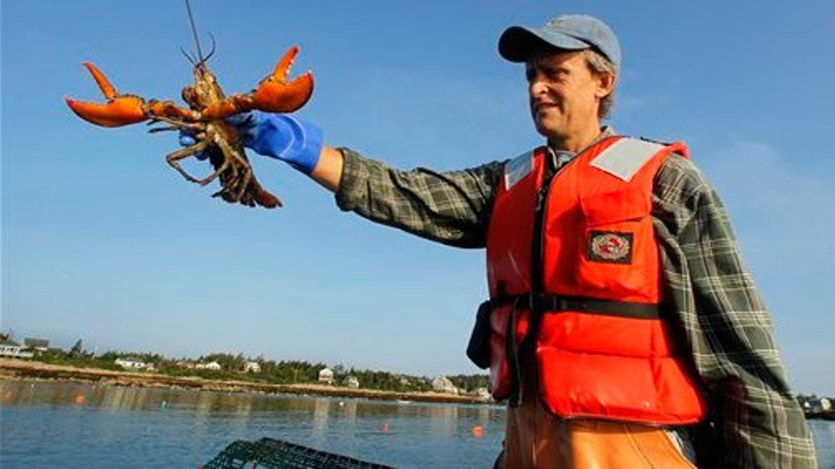 Old Fashioned Lobstering