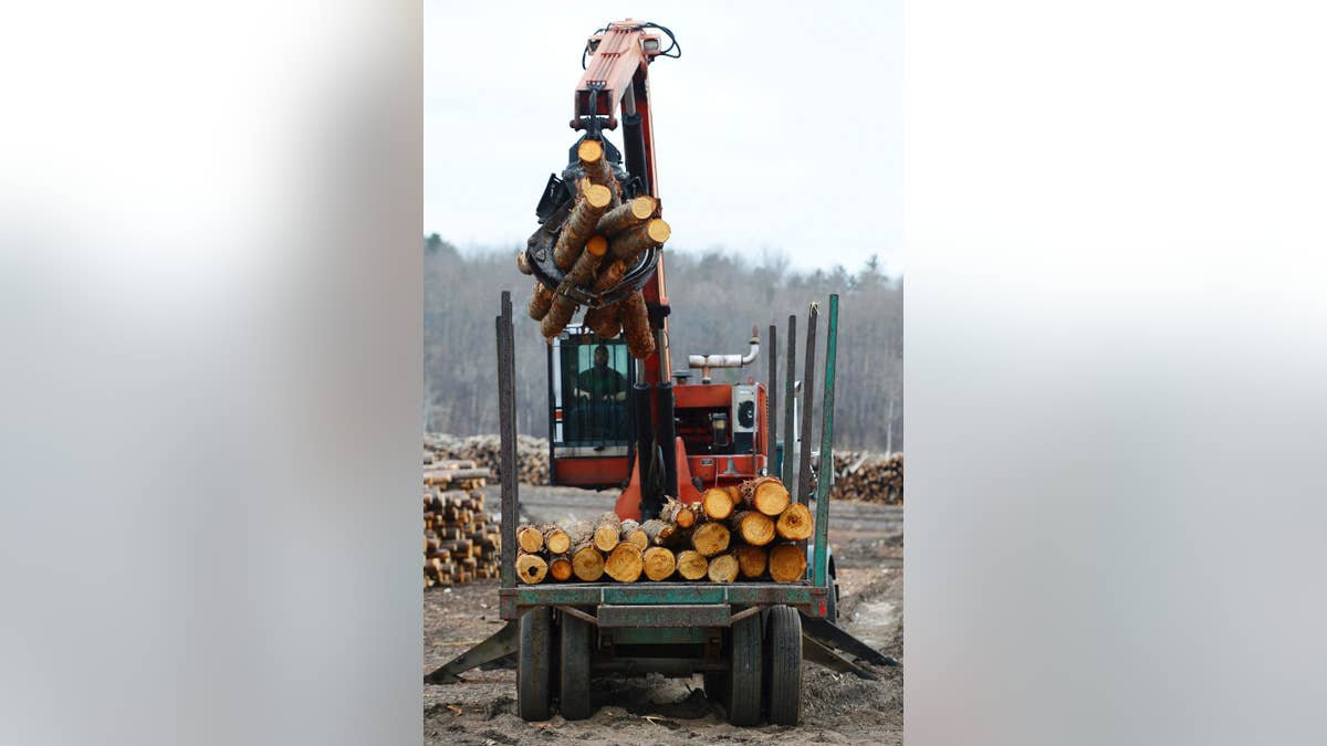 Softwood lumber is unloaded at Murray Brothers Lumber Company woodlot in Madawaska, Ontario on Tuesday, April 25, 2017. The upper Midwest timber industry is welcoming the Trump administration's announcement that it's imposing tariffs averaging 20 percent on softwood lumber entering the United States from Canada. (Sean Kilpatrick/The Canadian Press via AP)