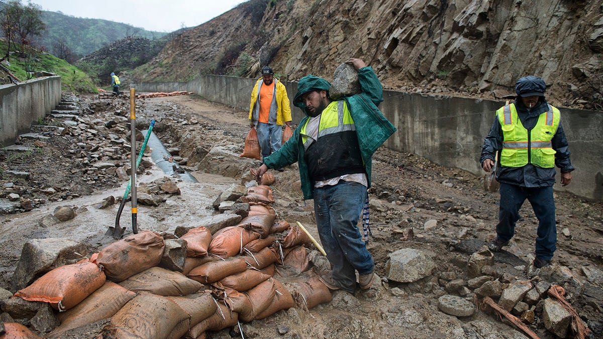 ca pineapple express 3