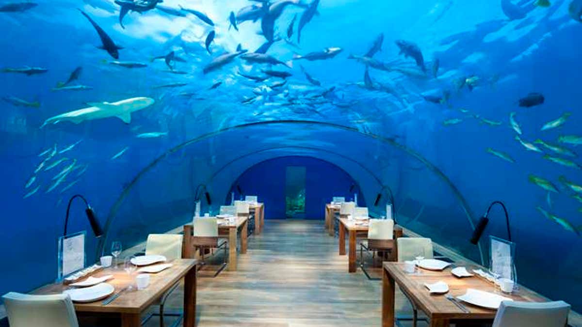 Dine below the waves in the world's only glass undersea restaurant.