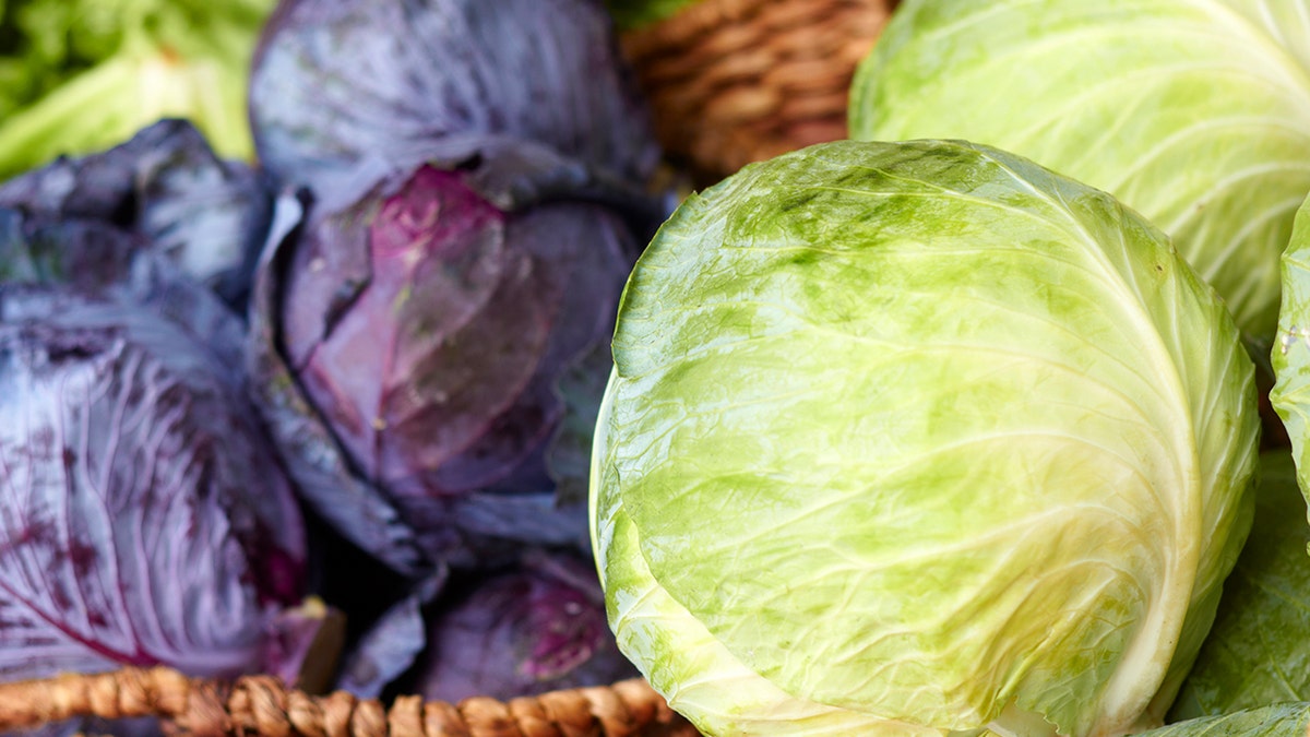 cabbage istock