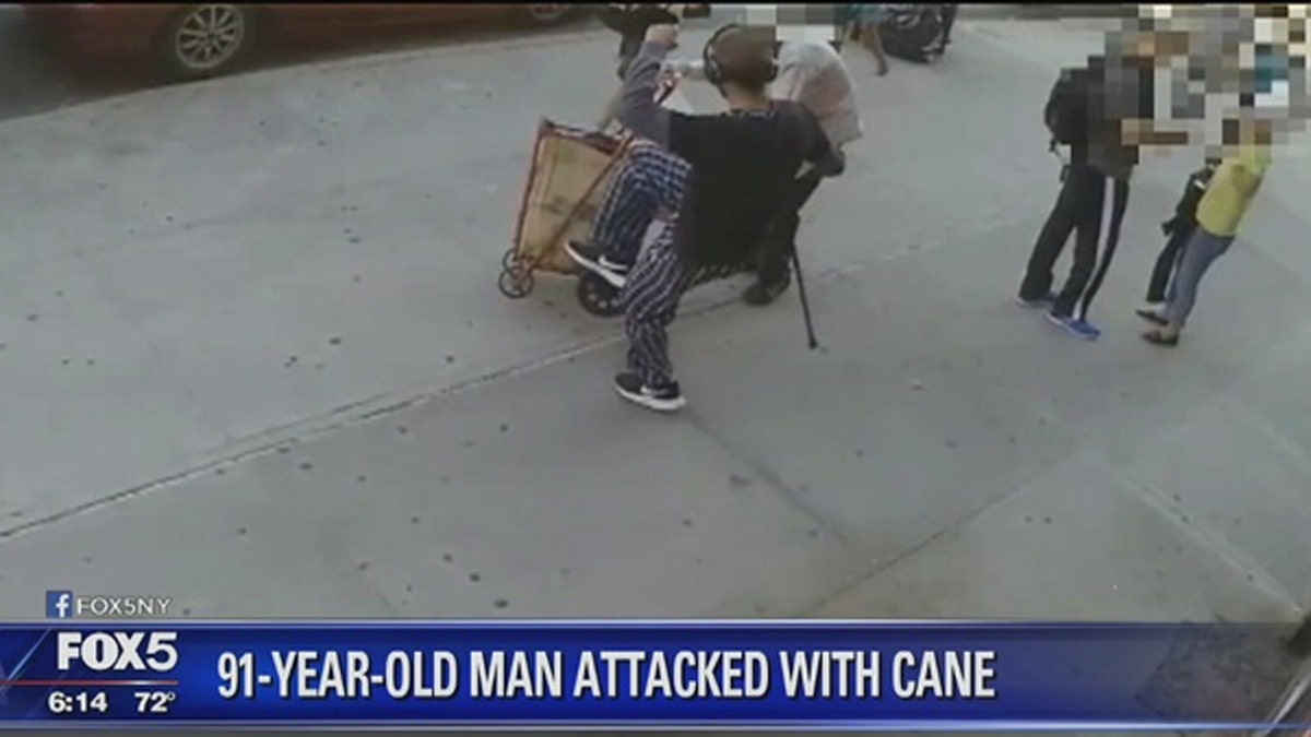 Cane Attack NY