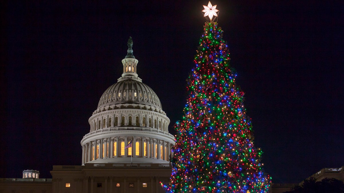 Capitol Tree