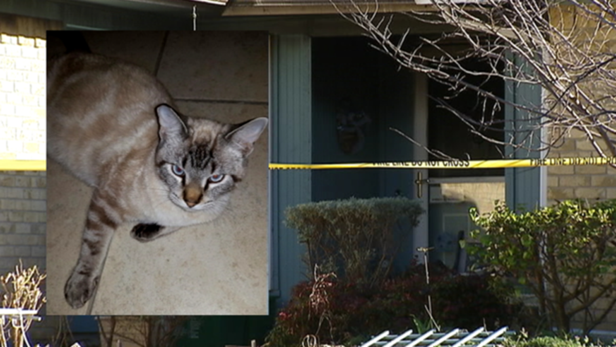 Cat house fire texas