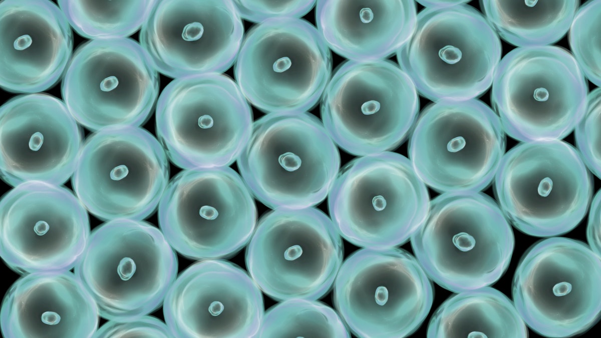 cells istock