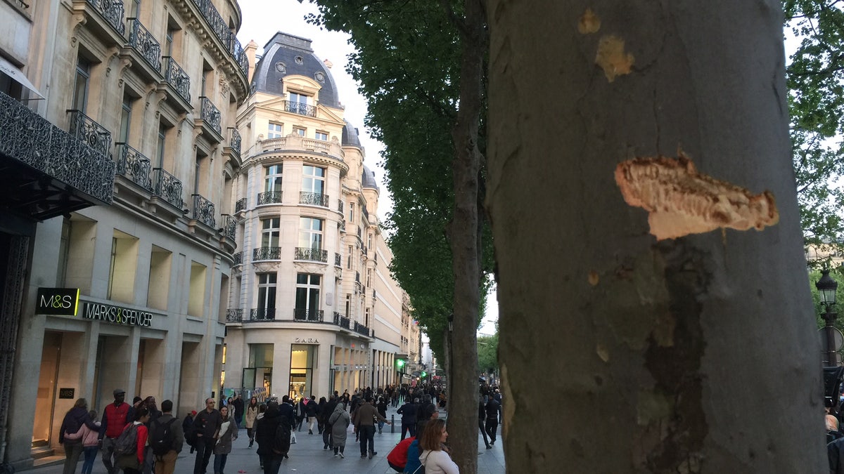 Champs Elysee attack 1
